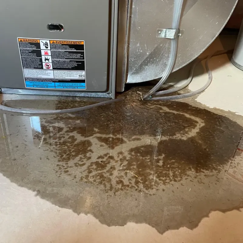 Appliance Leak Cleanup in Millbrook, AL